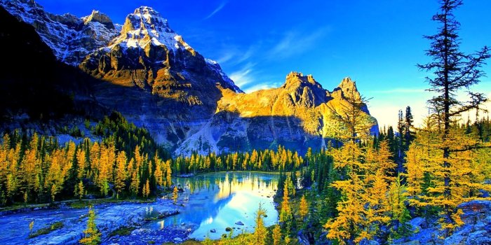 1920x1061 Ultra HD Laptop Wallpapers - Top Free Ultra HD Laptop Backgrounds