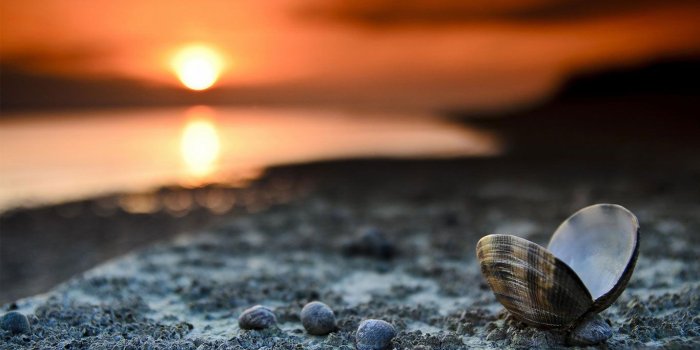 1366x768 Download HD Laptop Wallpaper Backgrounds For Free HD Wallpapers