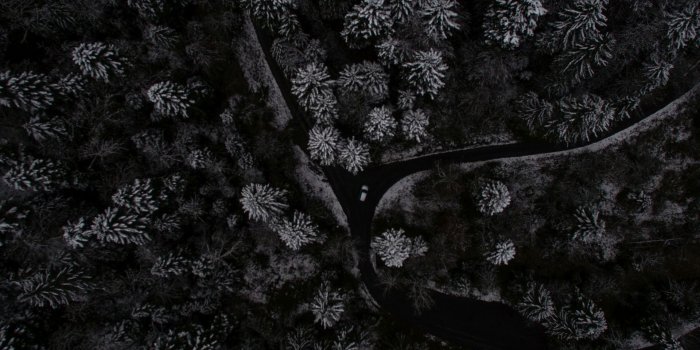 1920x2562 Black Gucci iPhone Wallpapers - Top Free Black Gucci iPhone