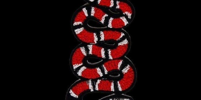 736x1308 Gucci Wallpapers For Iphone X | Bestpicture1.org