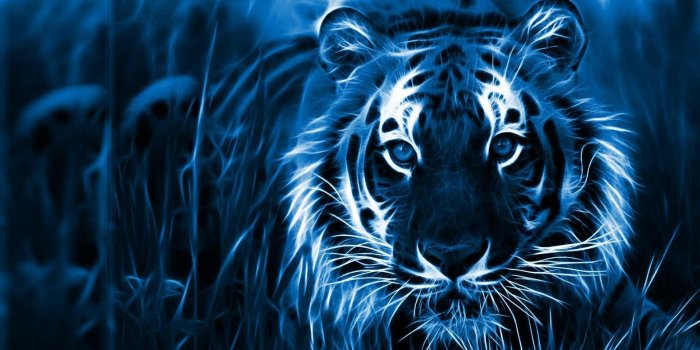 1920x1080 New Hd Wallpaper For Laptop - (41+) Group Wallpapers