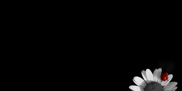 1920x1080 Black Wallpaper 1920x1080 007 | Art History - Meno Istorija