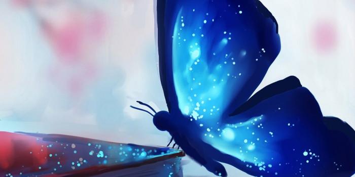 1440x2560 Wallpaper Butterfly, books, magic, art, Animals #8233