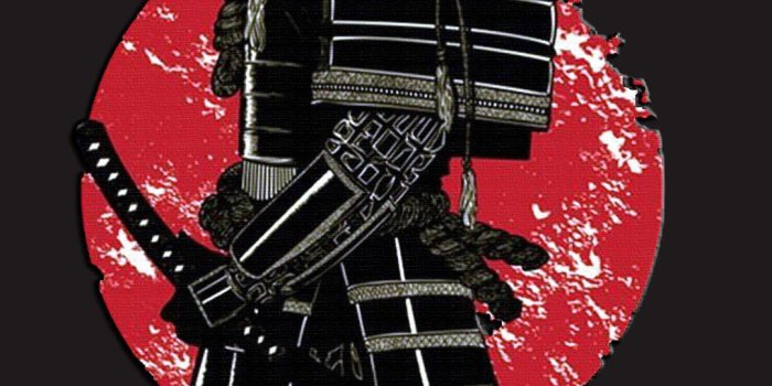 1080x1920 68+ Hd Samurai Wallpapers on WallpaperPlay