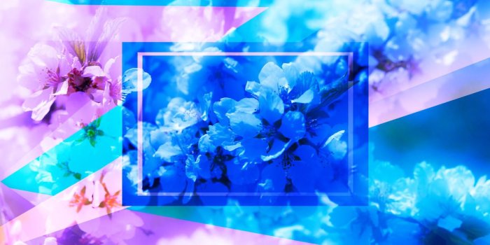 1200x800 Download free picture Spring pictures on wallpaper for desktop Blue