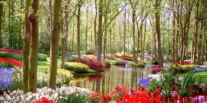 1024x768 Desktop Wallpapers » Natural Backgrounds » Garden and Flowers » www