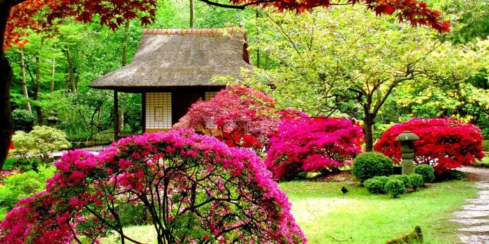 1920x1200 Flower Gardens Wallpapers (59+ images)