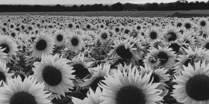 1080x1920 f-l-o-a-t-i-n-g: “• b&w view ” | Black & White Photography in 2019