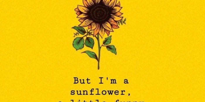 719x1280 Sunflowers Wallpaper by Vintage7724 - c3 - Free on ZEDGE™