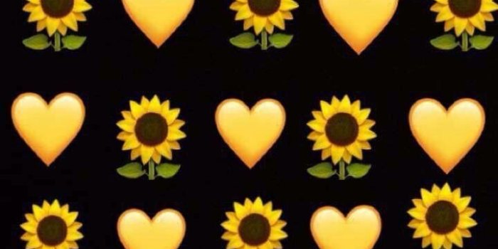 720x1280 Amanda Lee on Sunflower freak!!!!! in 2019 | Sunflower