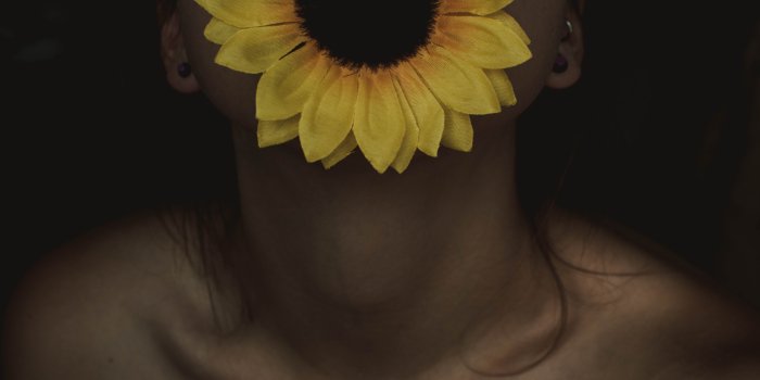 6000x4000 Woman Biting Sunflower On Black Background - Free Stock Photo, Image