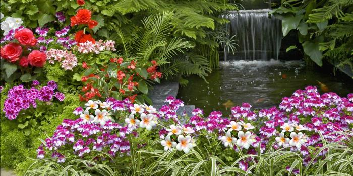 1920x1080 Garden Wallpapers High Quality | Download Free