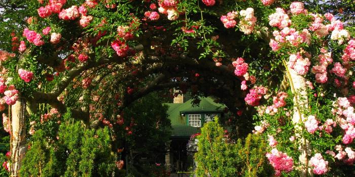 2048x1536 Rose Garden Wallpapers