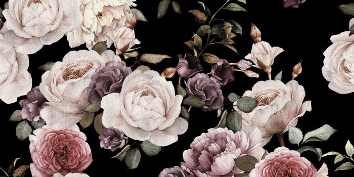 1650x1070 Wallpaper : Purple And Pink Dark Floral Mural Rose White Flower
