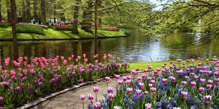 2560x1600 49+] Garden Wallpaper Background for Computer on WallpaperSafari