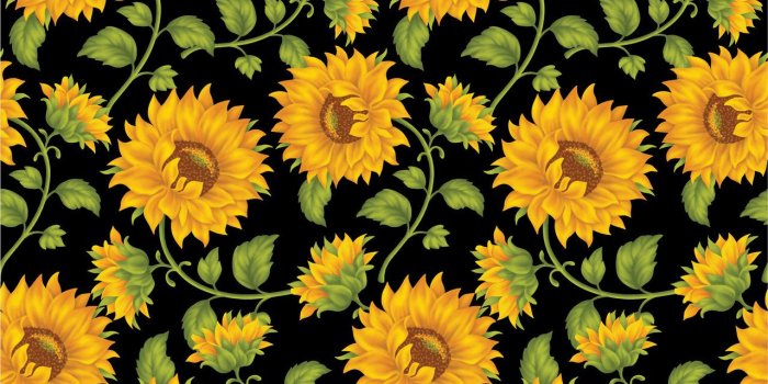 1280x1065 Free download Sunflower Print In Black Background by DonCabanza