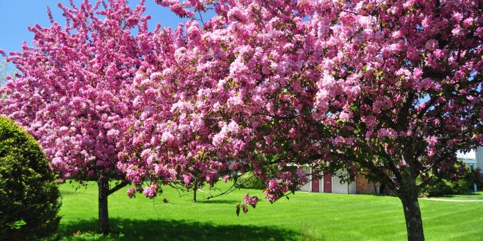 3840x2160 Garden desktop wallpapers 4K Ultra HD