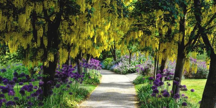 1680x1050 Garden wallpapers HD for desktop backgrounds