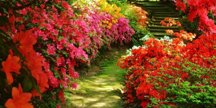 1600x1200 Landscape Garden Hd Unique Garden Desktop Wallpaper Wallpapersafari