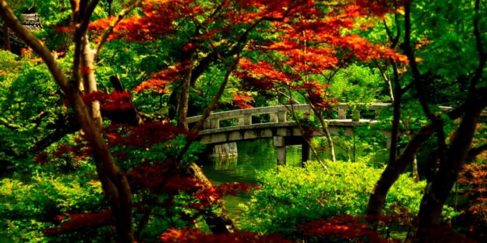 1284x721 Free Japanese Garden Desktop Backgrounds | Important Wallpapers