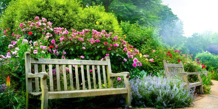 4961x3307 Garden hd wallpaper Gallery