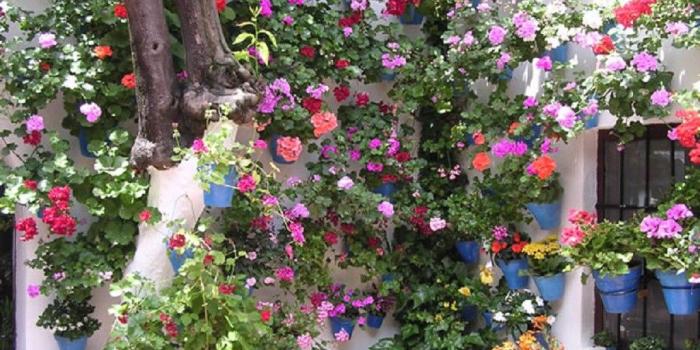 1024x768 Flowers: Cordoba Secret Nature Garden Gardens Flowers Flower Desktop