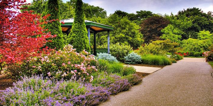 1920x1200 Free Download Incredible Pictures, 22 Garden HD Widescreen Wallpapers