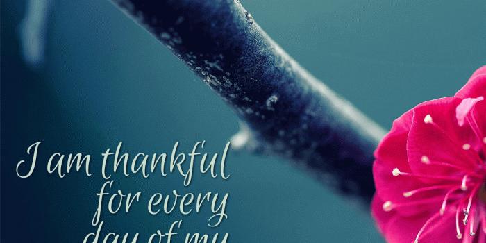 1280x1024 Weekly Positive Affirmations Wallpaper | Everyday Affirmations