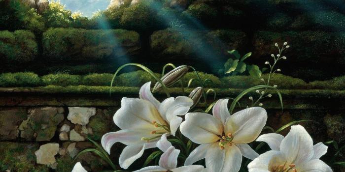 1280x960 easter lily pictures | home art white easter lilies painting white