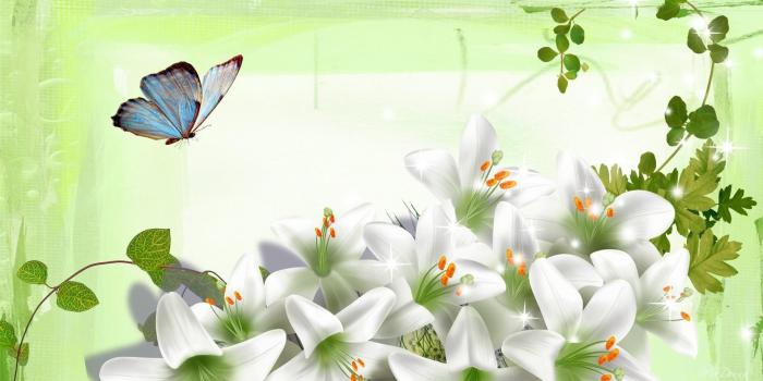 1920x1080 50+ Easter Lilies Wallpapers on WallpaperPlay