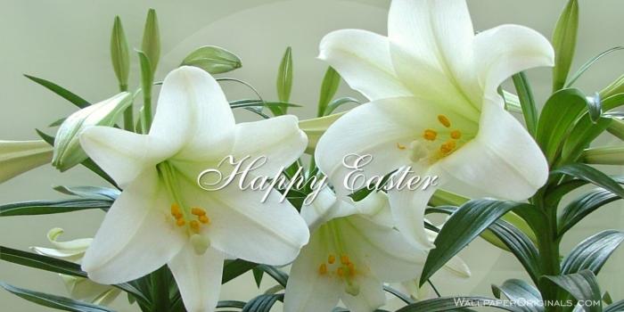 1366x768 Easter Wallpapers in 2019 | Easter | Easter wallpaper, Easter