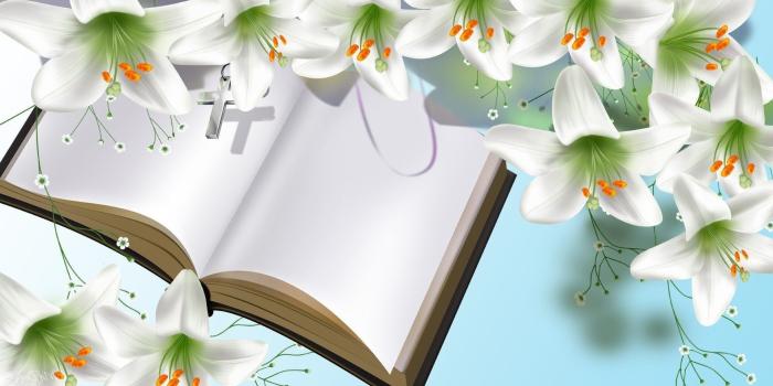 1920x1080 50+ Easter Lilies Wallpapers on WallpaperPlay