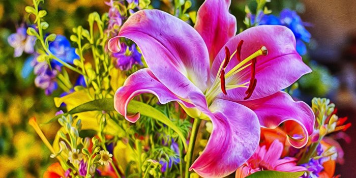 1920x1200 Beautiful Lily HD Wallpaper | Background Image | 1920x1200 | ID