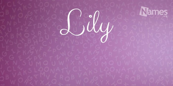 1640x720 Name poster for Lily | Lily | Popular baby names, Popular baby girl