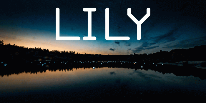 1600x900 WERC Collective