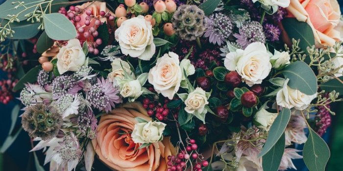 1000x1000 Best 100+ Flower Images [HQ] | Download Free Flower Pictures on Unsplash