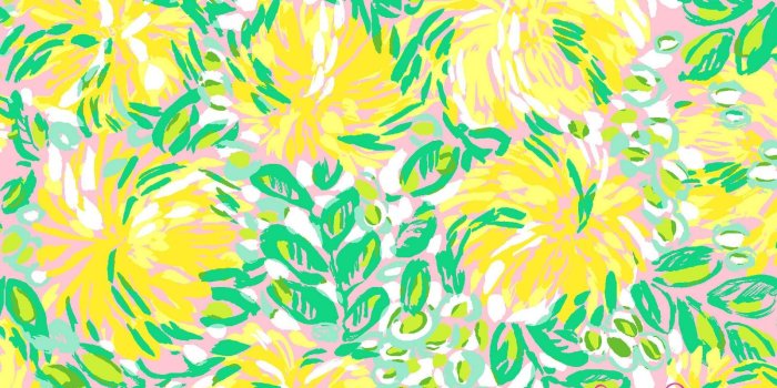 1600x1000 Download Prep in the Midwest New Spring Lilly Prints [1600x1000