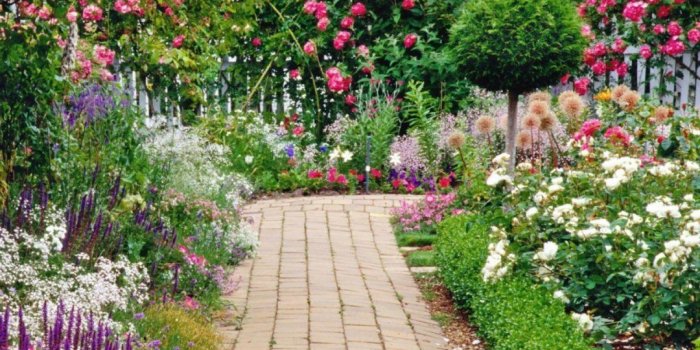 1080x810 Types Of Flowers With Pictures Home Garden Plants Depot Plant Today