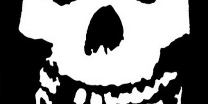 1080x1920 ↑↑TAP AND GET THE FREE APP! Hard Skull Black Misfits Punk Rock