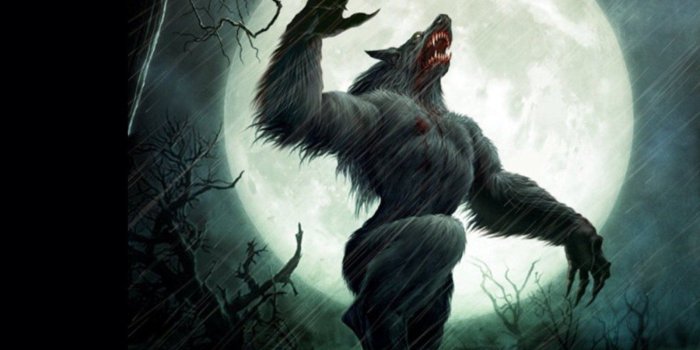 1600x1200 157 Werewolf HD Wallpapers | Background Images