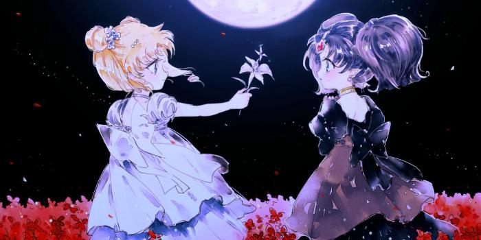 1200x800 Bishoujo Senshi Sailor Moon (Pretty Guardian Sailor Moon) Wallpaper