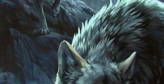 683x1171 Rabid Wolf - Gwent Card by akreon | Cool Drawings | Wolf, Wolf