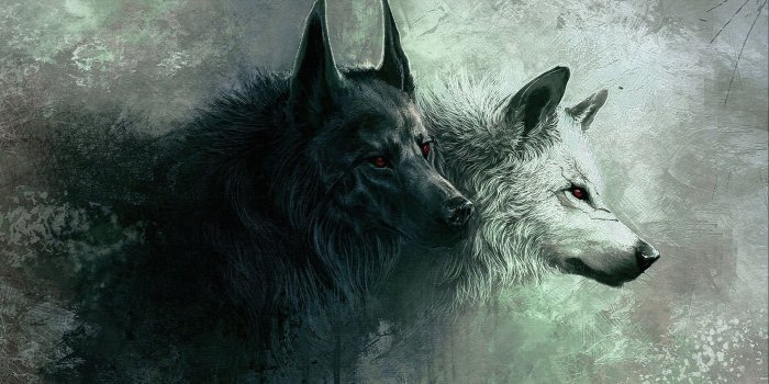 1920x1080 Werewolf HD Backgrounds