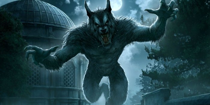 2554x1543 69+ Black Werewolf Wallpapers on WallpaperPlay