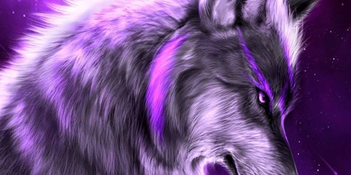 1080x1920 Werewolf Wolf Purple Drawing Sketch Moon HD wallpaper Gallery