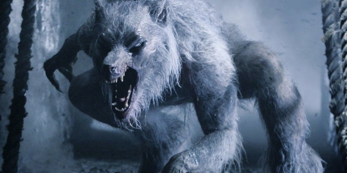 2048x2048 Underworld Werewolf Wallpapers (67+ background pictures)