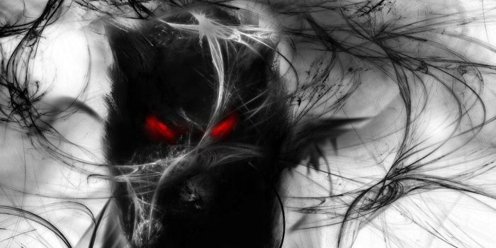 979x816 55+ Shadow Wolf Wallpapers - Download at WallpaperBro