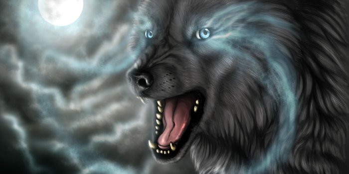 2799x1880 Dark Wolf Wallpapers (72+ background pictures)