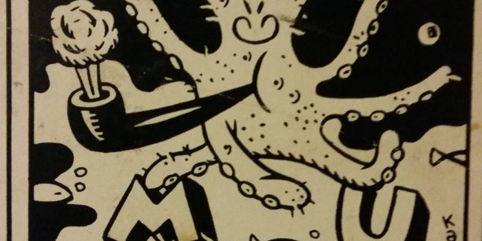 2988x4341 WFMU Profile for joe