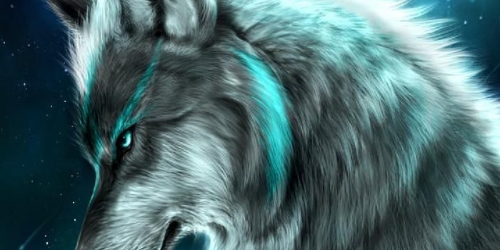 720x1280 Spirit Wolf iPhone Wallpapers - Top Free Spirit Wolf iPhone